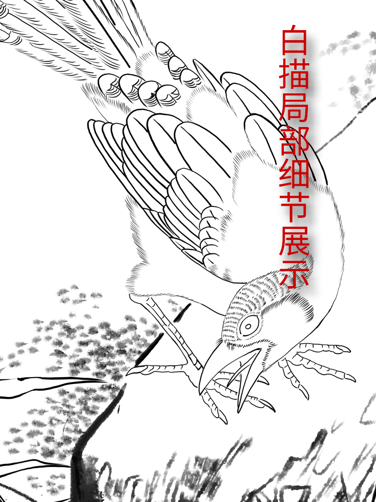 工笔画打印白描底稿竖幅四尺辽萧瀜《花鸟图》初学者临摹透稿练习 - 图2