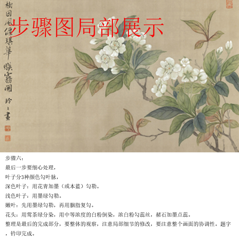 【有步骤】国画工笔画打印白描底稿恽寿平没骨花鸟图案初学者临摹 - 图1