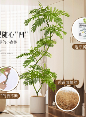 【高端轻奢】仿真蓝花楹可凹造型