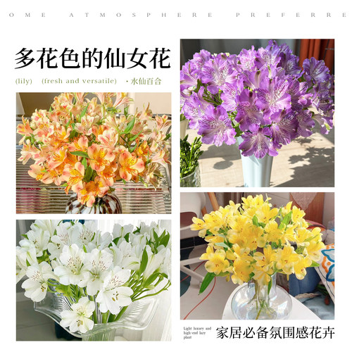 水仙百合鲜花六出花鲜切花卉插花材家用水养水培多头插瓶六初花束 - 图3