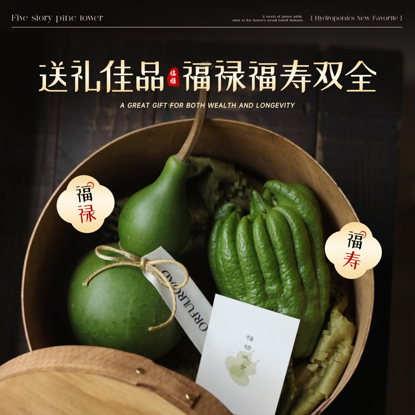 翡翠葫芦摆件佛手柑鲜果植物云南天然新鲜观赏桌面福禄闻香橼托盘,淘宝优惠券,粉丝福利购,淘宝优惠卷