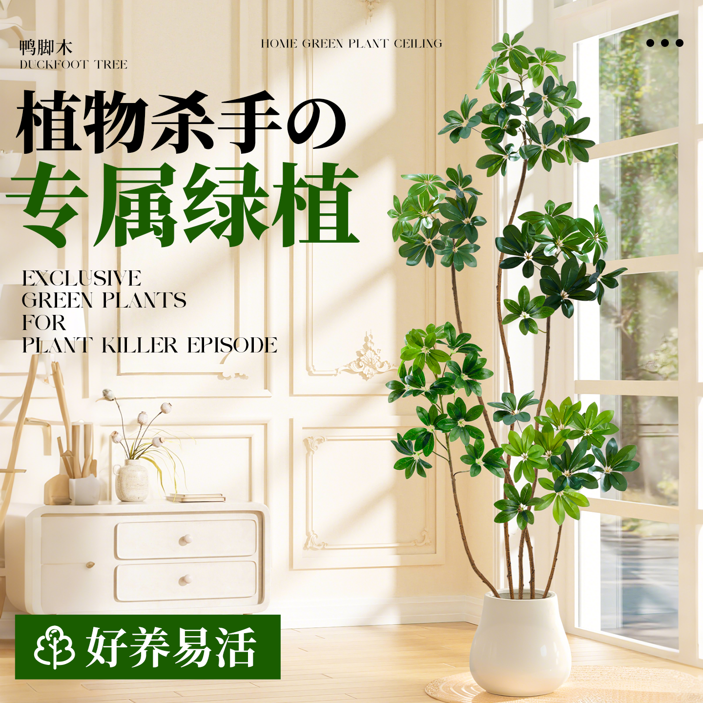 鸭脚木飘枝造型高级感绿植室内办公室客厅大盆栽落地鹅掌柴鸭掌木,淘宝优惠券,粉丝福利购,淘宝优惠卷