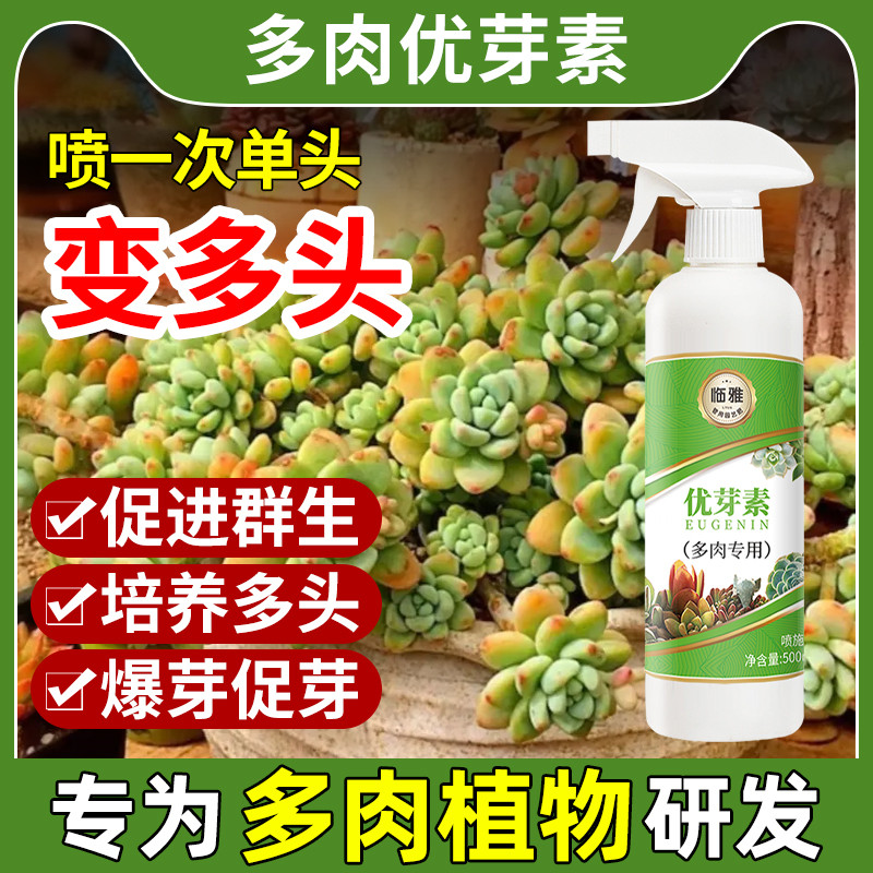 临雅优芽素多肉专用爆芽素营养液肥料绿植物催芽促群生矮胖素花卉-图0