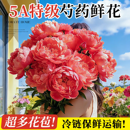 芍药鲜花云南直发落日珊瑚重瓣花束进口牡丹百合客厅水养鲜切花卉 - 图0