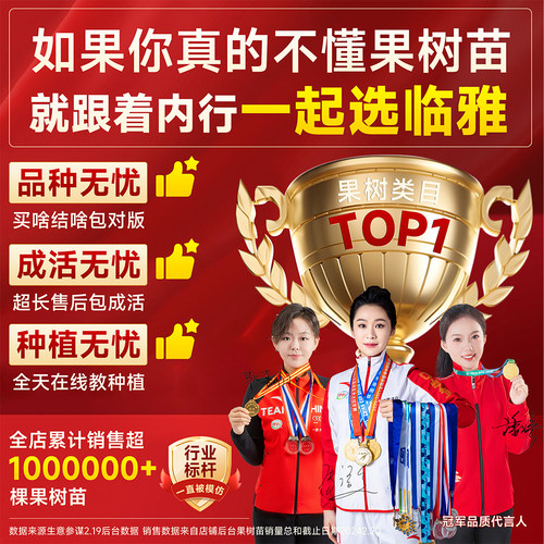 柚子树苗大苗泰国暹罗红柚蜜柚果树果苗大全南方北方种植当年结果 - 图3