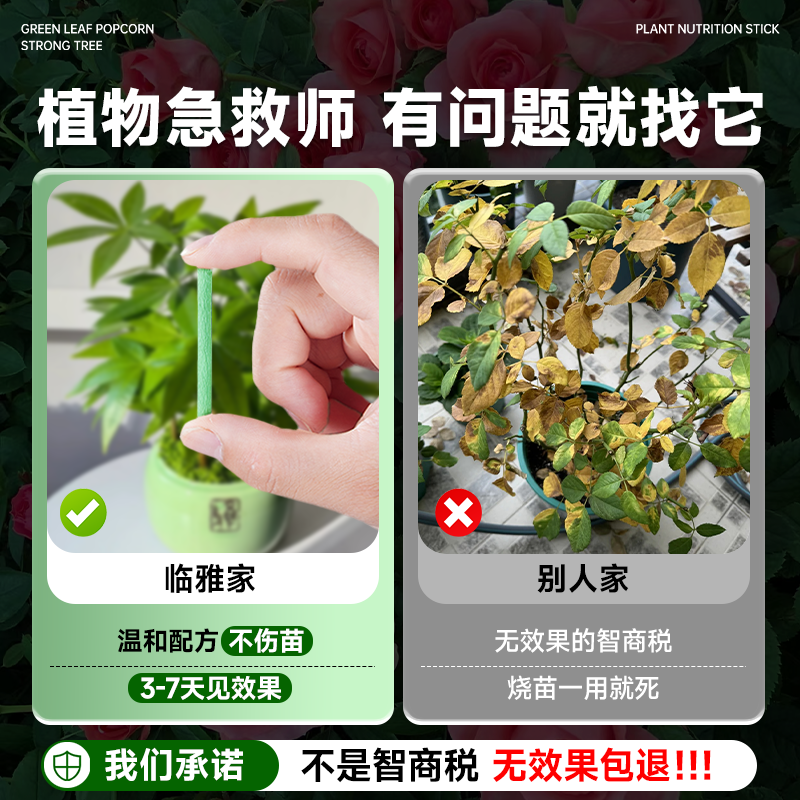 植物营养棒缓释肥养花通用型家用盆栽复合肥花卉植物正品蔬菜肥料,淘宝优惠券,粉丝福利购,淘宝优惠卷