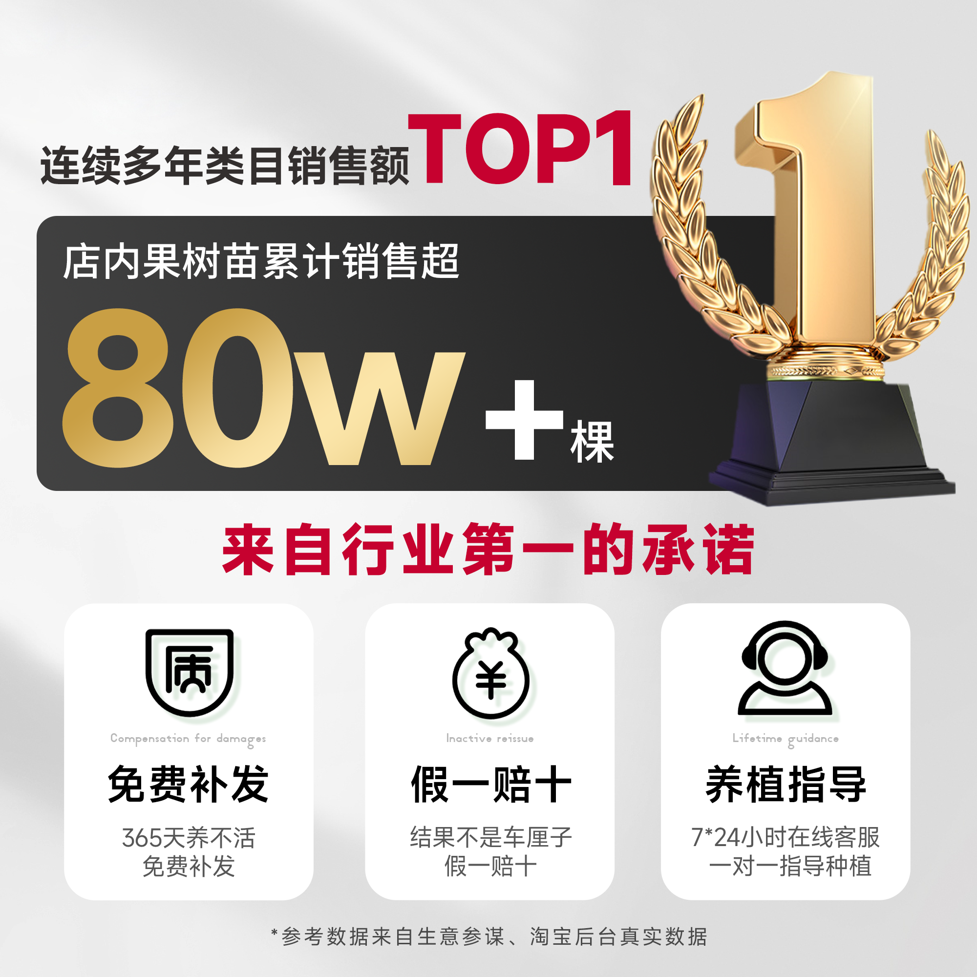 车厘子树苗大樱桃里盆栽矮化正宗黑珍珠嫁接果苗南方北方种植庭院,淘宝优惠券,粉丝福利购,淘宝优惠卷