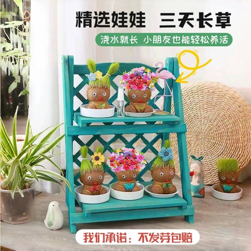 草头娃娃开花可爱长草猫草绿植物小盆栽小草娃娃室内儿童创意水培 - 图0