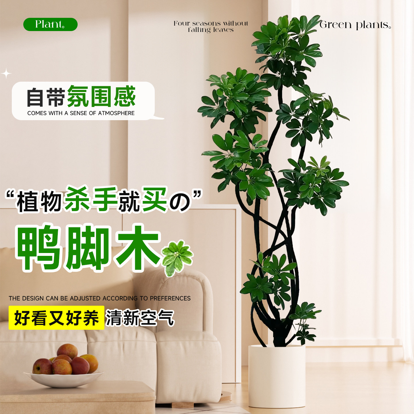 鸭脚木客厅绿植高级感八方来财大型植物盆栽高端大气上档次鸭掌木,淘宝优惠券,粉丝福利购,淘宝优惠卷