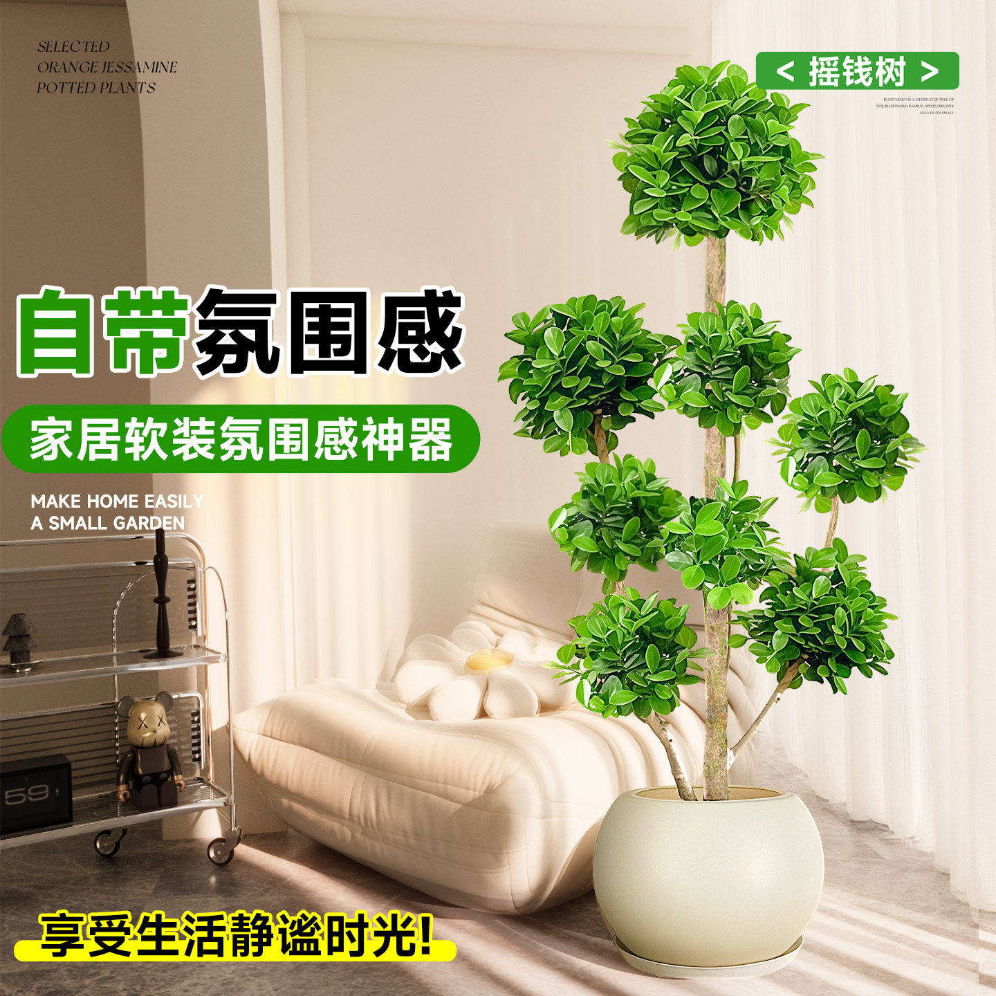 造型金钱榕摇钱树盆栽客厅大型绿植室内好养植物乔迁新居开业送礼,淘宝优惠券,粉丝福利购,淘宝优惠卷