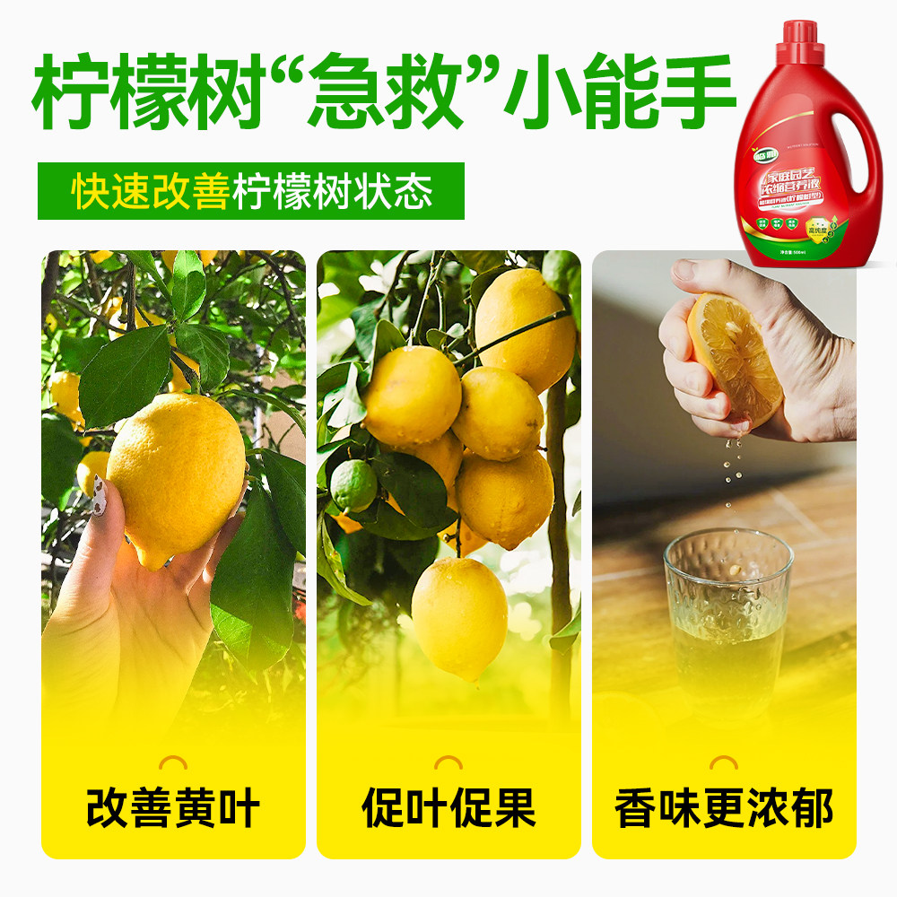 柠檬树营养液室内盆栽绿植物营养液通用型花卉柠檬树盆栽树苗肥料,淘宝优惠券,粉丝福利购,淘宝优惠卷