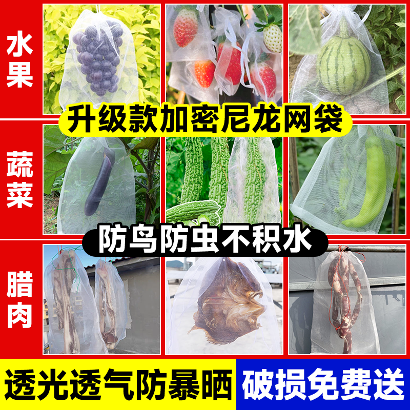 水果套袋防鸟防虫专用网袋葡萄桃子枇杷苹果套袋神器草莓保护袋子 - 图3