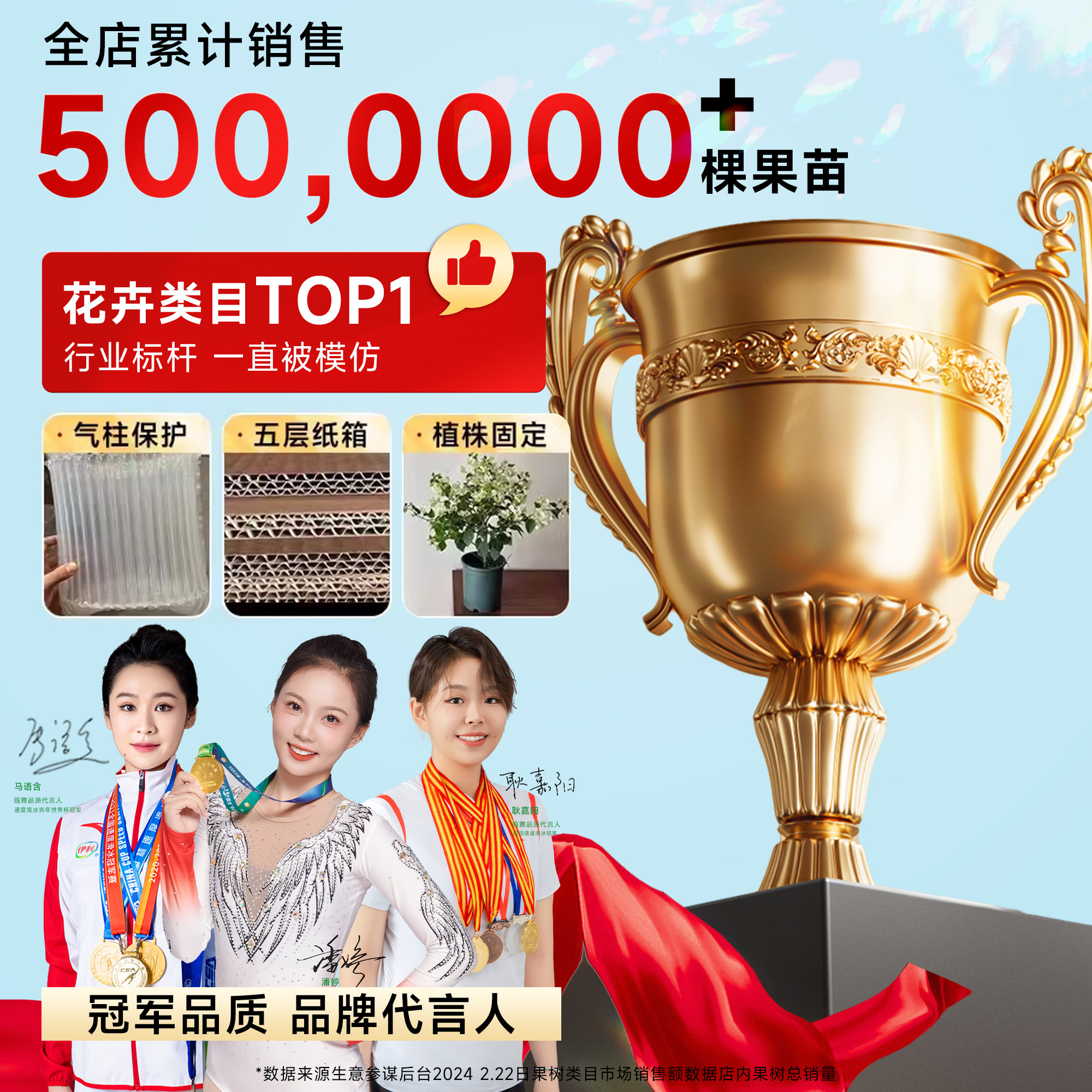 三角梅盆栽重瓣四季绿漳红樱爬藤植物矮桩阳台树苗耐寒老桩带花卉,淘宝优惠券,粉丝福利购,淘宝优惠卷