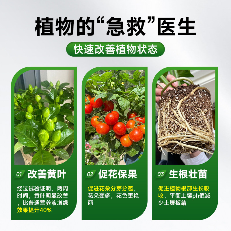 营养液植物通用型富贵竹发财树绿萝专用肥料水培室内盆栽花卉绿植,淘宝优惠券,粉丝福利购,淘宝优惠卷