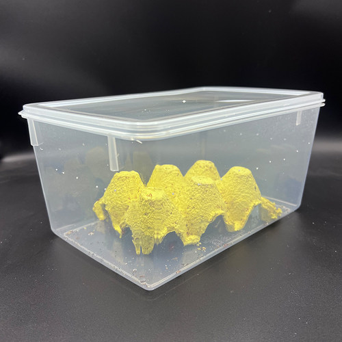 昆虫饲养盒樱桃红蟑螂杜比亚蟑螂面包虫大麦虫蟋蟀蛐蛐蜜虫都能用 - 图1
