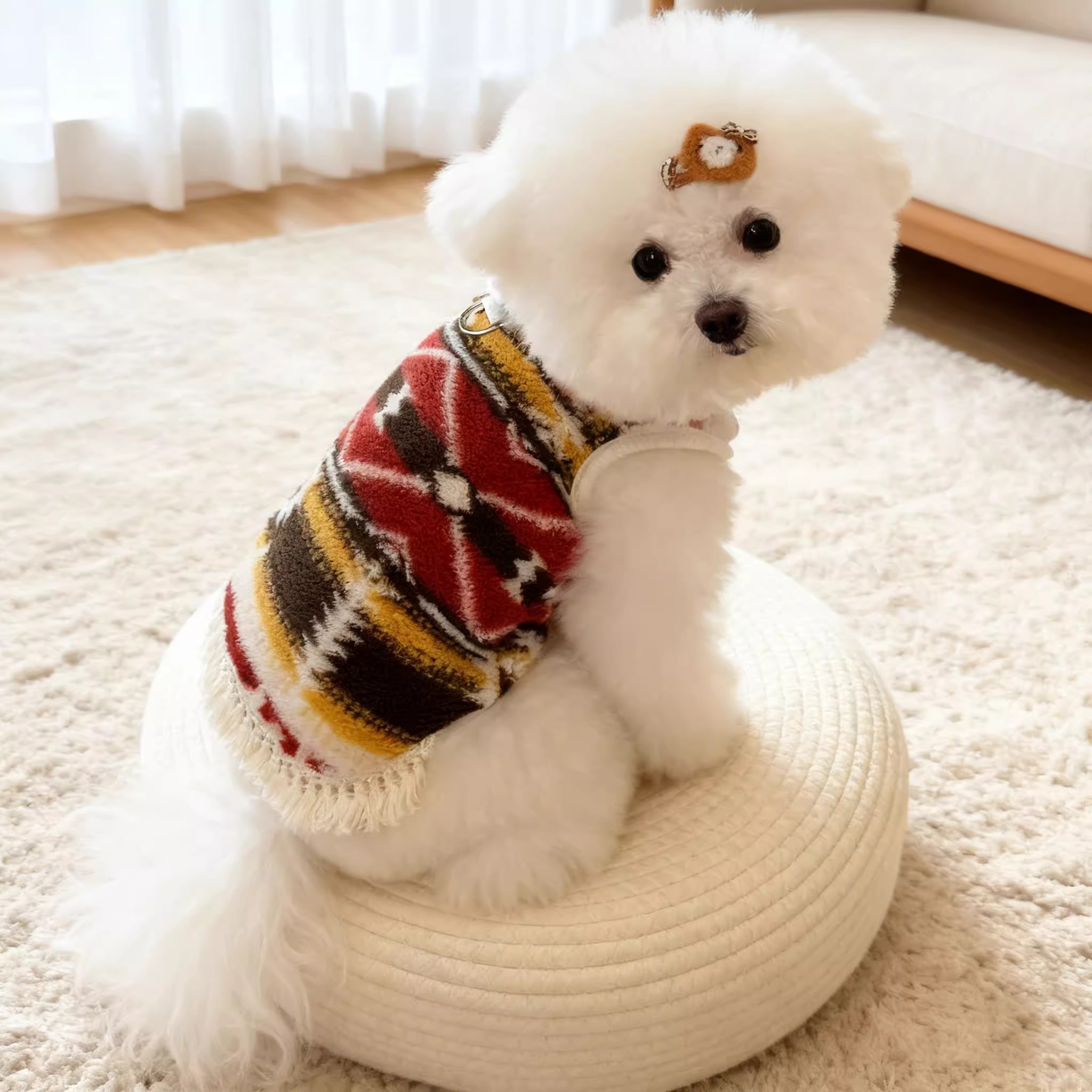 日本高端宠物狗狗衣服加绒保暖泰迪比熊贵宾雪纳瑞猫咪衣服小型犬 - 图3