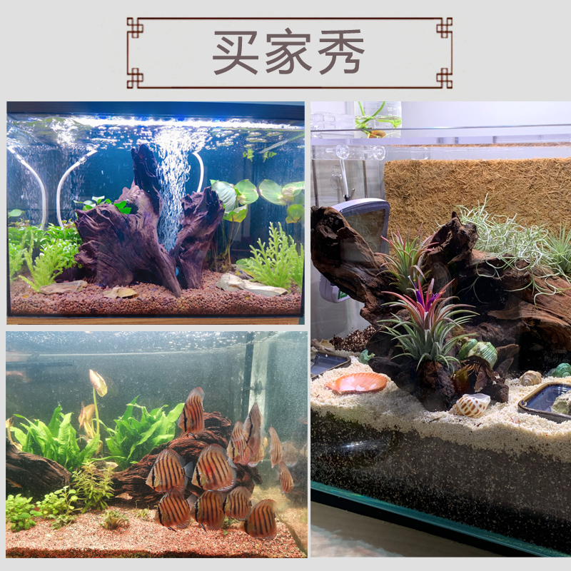 紫柚木精品45-60cm天然鱼缸造景沉木大号树桩晒龟台水族箱装饰木-图2