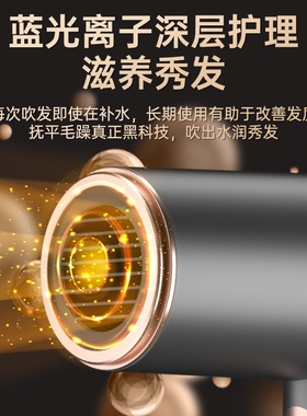 植物学家电吹风机家用负离子护发