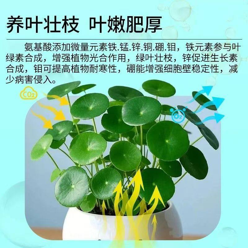 正品高浓度氨基酸浓缩叶面肥生根壮苗促花坐果增产增收强效水溶肥,淘宝优惠券,粉丝福利购,淘宝优惠卷