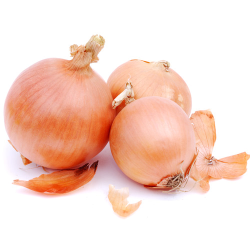黄皮大洋葱约500g 农家蔬菜 白洋葱 黄葱头 圆葱 新鲜香料食材 - 图0