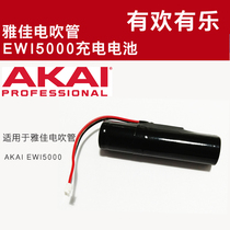 Elegant EWI5000 EWISOLO electric blow pipe electrosax AKAI dedicated battery