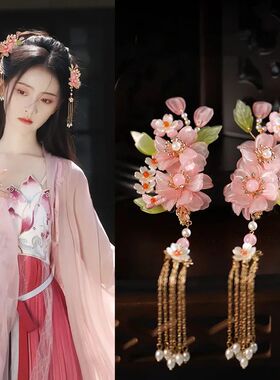 Chinese Hanfu Hair Accessories Set Hair Clip Hairp Haircomb