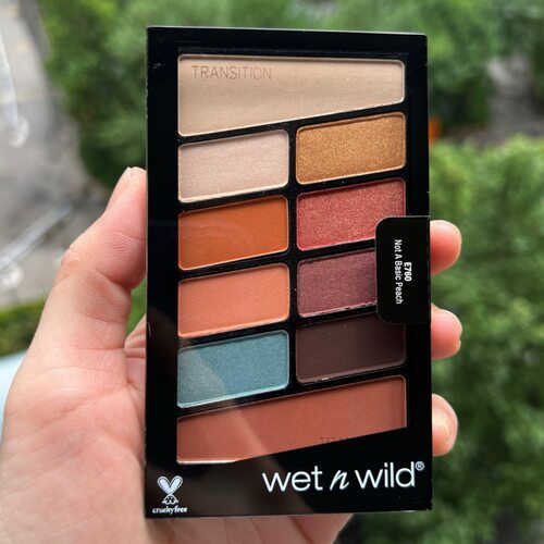 Wet N Wild维特娃湿又野 Color Icon 10色眼影盘#760# - 图0