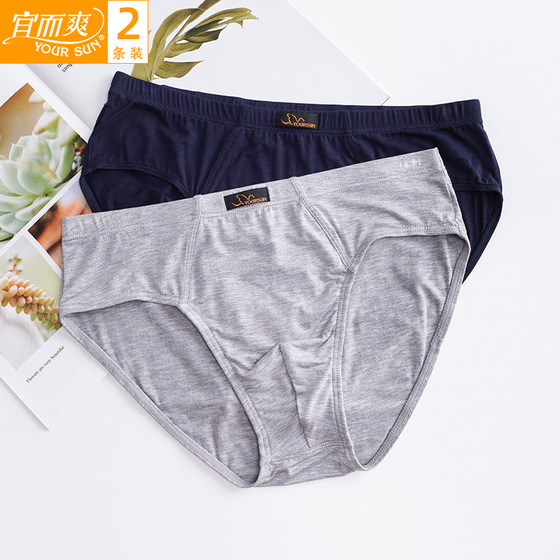 2 pairs of comfortable and comfortable underwear, summer thin modal sexy slim fit breathable men's mid-waist briefs DRA5403-3