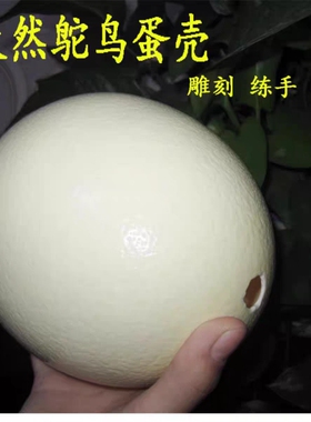 天然鸵鸟蛋壳 自家养殖鸵鸟 新蛋壳 蛋雕工艺品雕刻品 保证质量