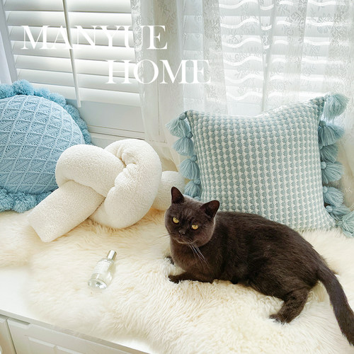 蔓越家 北欧ins风客厅沙发飘窗毛绒装饰枕抱枕靠垫腰枕不含芯靠背 - 图2