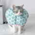 Shiba Xiaoyang Hoa mặt trời Elizabeth Circle Soft Cat Circle Cat Dog Head Cover Pet Chống đập Circle Circle Cat Cung tròn xấu hổ - Cat / Dog hàng ngày Neccessities Cat / Dog hàng ngày Neccessities