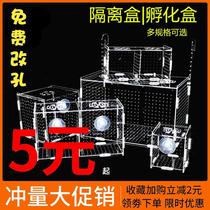 Fish Tank Isolation Net Aquarium Isolated Box Peacock Fish Paparazzi Bullfish Hatchbox Breeding Box Suspended for protection of small fish