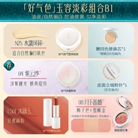 [Good Collection Series] Подушка воздуха с масляной кожей N25 (включая заместительную ядро) + порошок 04 + румянец 08 + Essence Lipstick L501