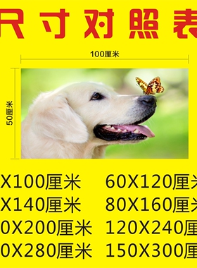 炸鸡排薯条汉堡店展板海报贴纸