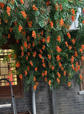 仿真花环橙色凌霄花假树叶子