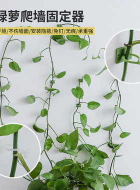 假花花藤爬上神器爬墙绿箩固定