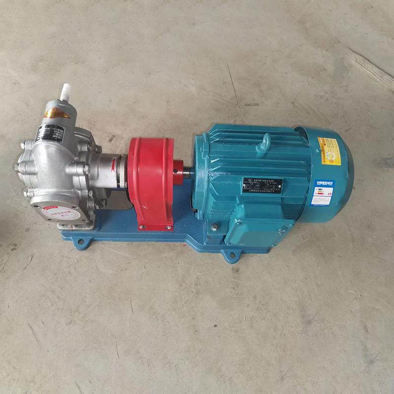 不锈钢齿轮泵食品齿轮泵润滑油泵机械油菜籽油食用油用泵食品级,淘宝优惠券,粉丝福利购,淘宝优惠卷