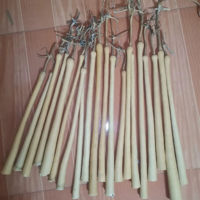 天然葫芦筒子大油锤葫芦杆t棒子带龙头毛笔杆坯子民俗吊灯壁画装 - 图0