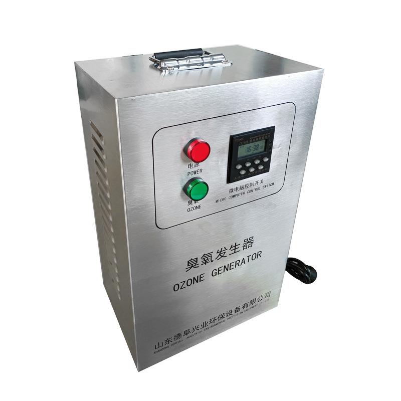 Defu ozone generator 10g stainless steel j chassis food factory pharmaceutical factory sterilization deodorization 5g can be timed