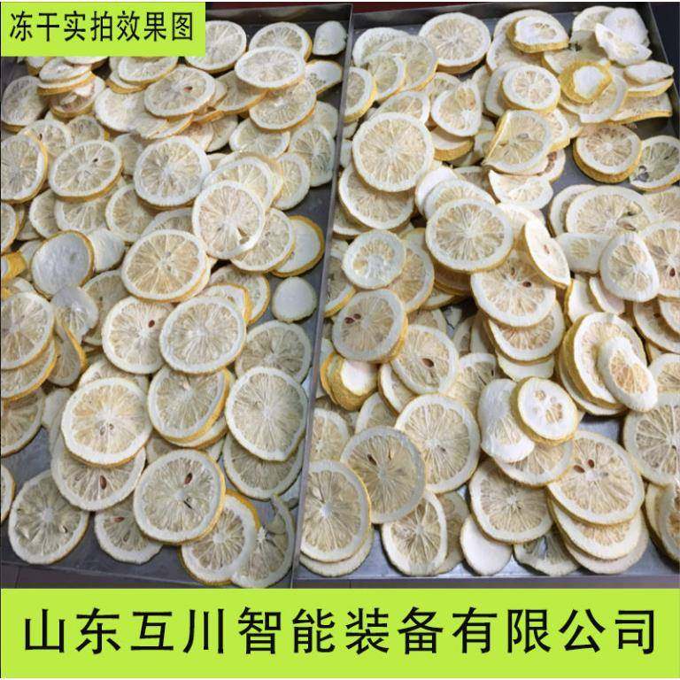 中药熊胆粉真空冻干机果蔬脆全自动低温冷冻干燥设备鸡肉粉冻干,淘宝优惠券,粉丝福利购,淘宝优惠卷