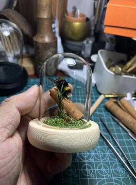 甲虫标本玻璃罩甲虫标本熊蜂标本生态玻璃罐熊蜂标本创意桌面摆件