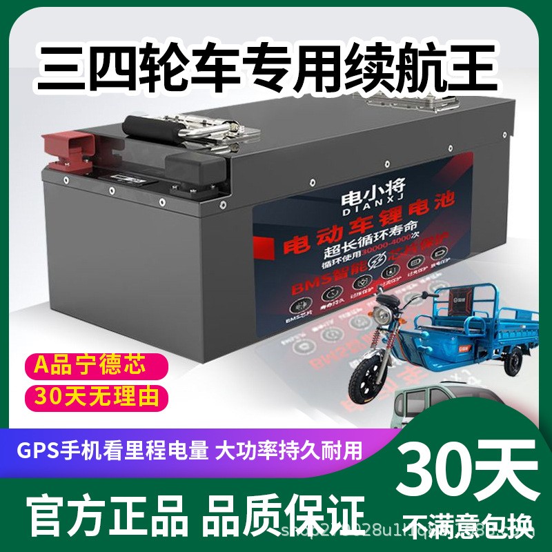 宁德磷酸铁锂电池大容量48V60V72V三四轮电动车三元锂电池电芯 - 图1