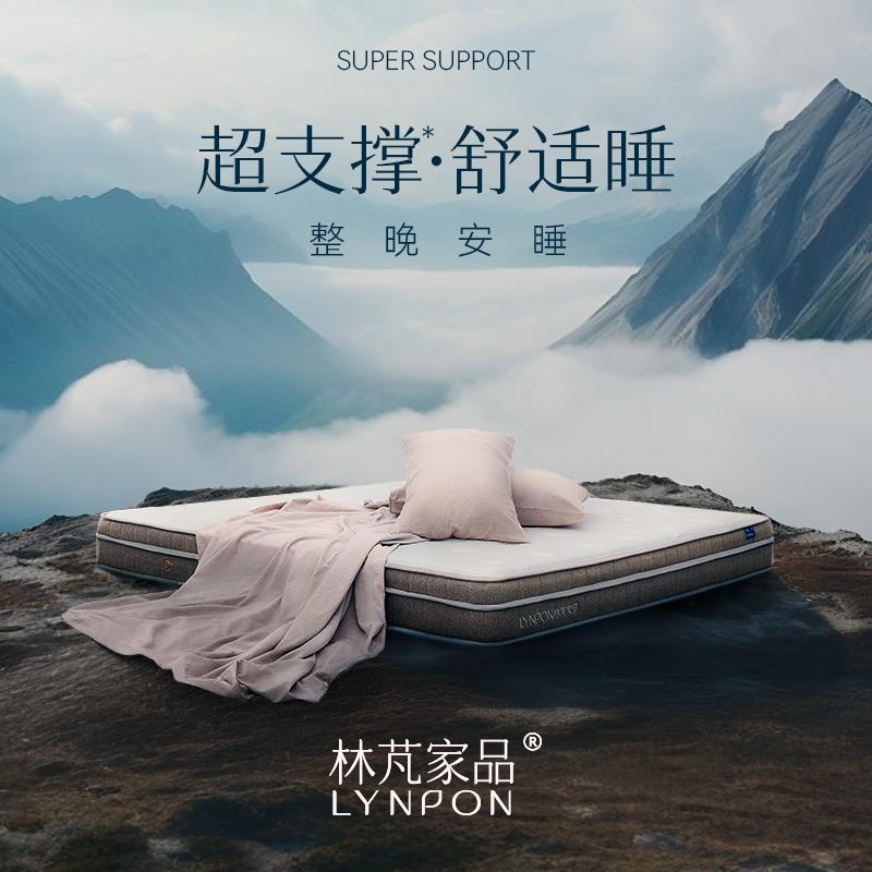 林芃云宿床垫硬垫子棕垫椰棕硬棕榈天然加硬椰棕垫护腰护脊家用 - 图0