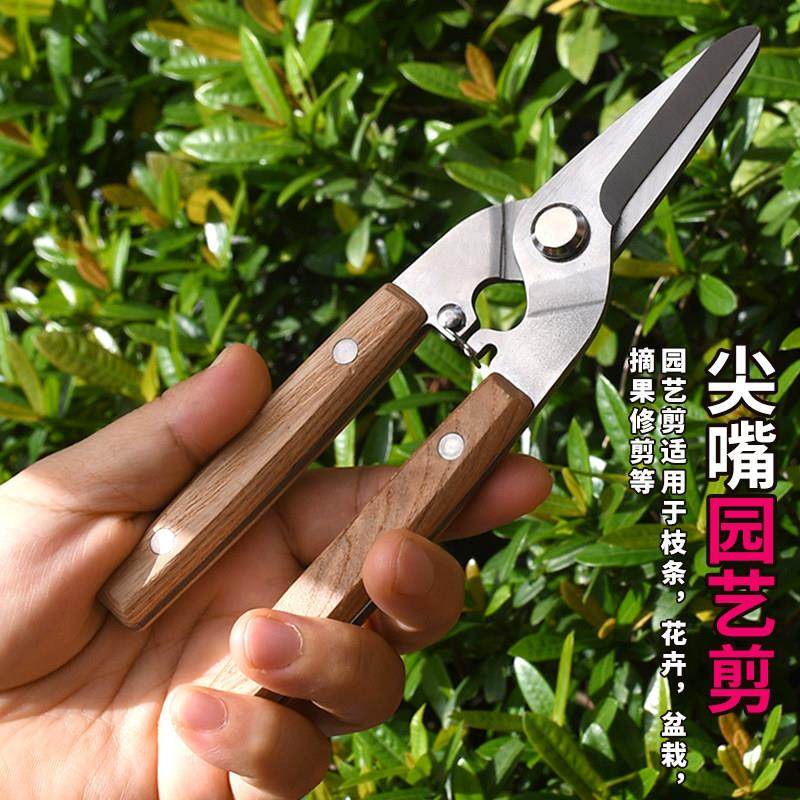 不锈钢家用果树修枝剪园艺剪花枝花艺剪花奔强力户外强力摘果剪刀,淘宝优惠券,粉丝福利购,淘宝优惠卷