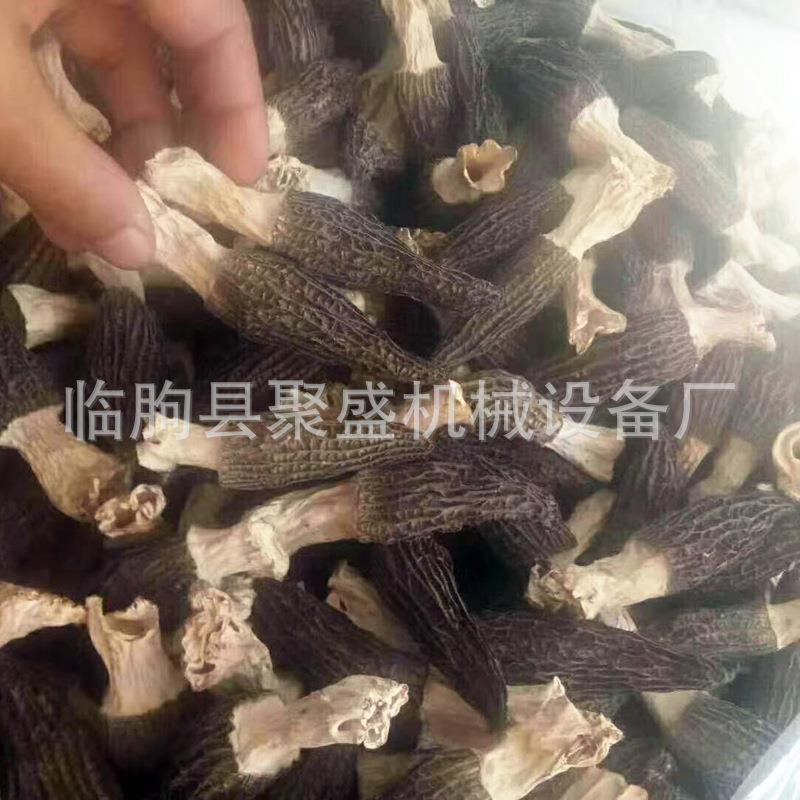 Large cauliflower cauliflower dryer box type heat pump broccoli dryer cauliflower dehydration and drying equipment