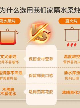 BOSLIN泊仕菱电炖锅隔水炖家用陶瓷电炖盅电蒸锅全自动煲汤煲粥锅