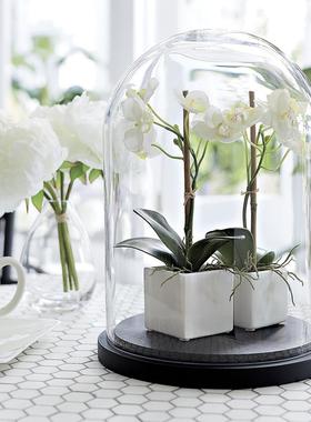 玻璃罩创意大号现代防尘罩欧式客厅简约永生花微景观样板装饰摆件