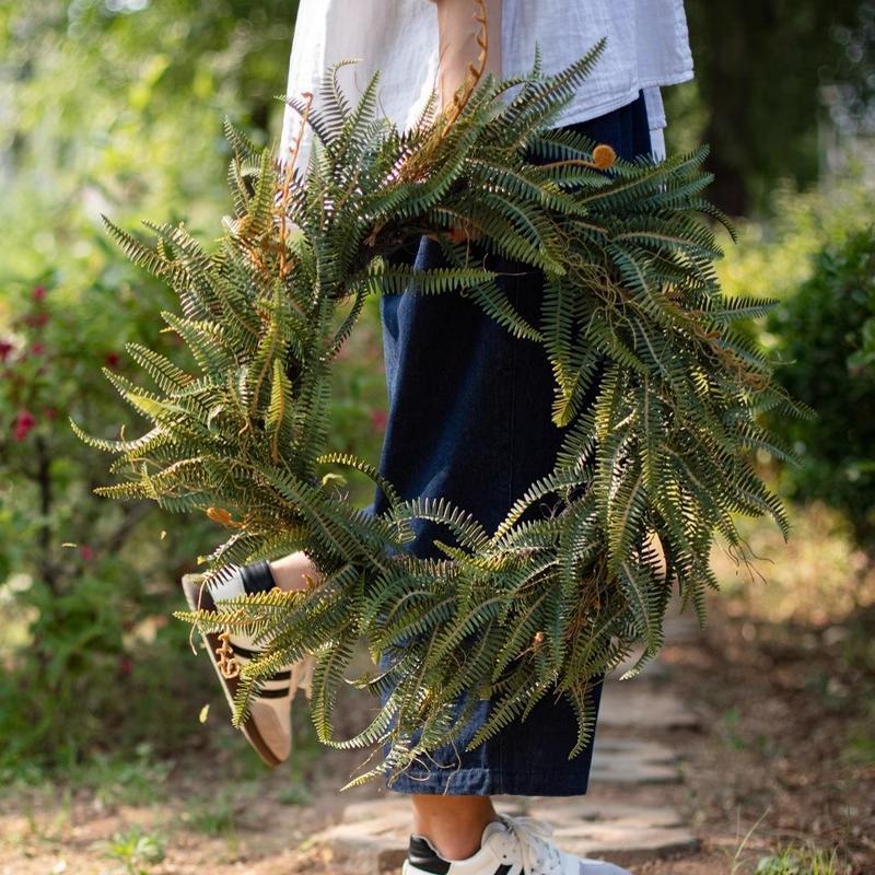 掬涵仿真蕨类绿植蕨叶山边草藤蔓花环软胶墙面景观造景装饰品摆件 - 图3