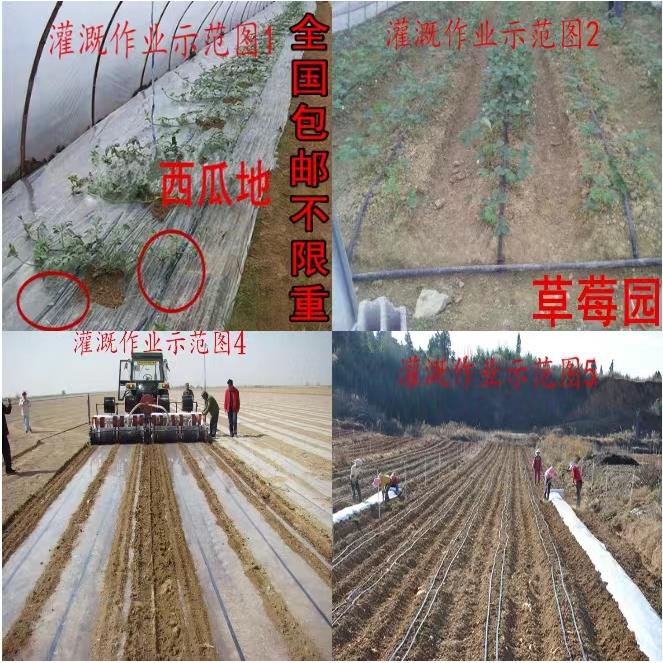 微喷带农用滴灌带6分1寸2.5寸2寸喷灌带地喷水管灌溉水带 - 图2