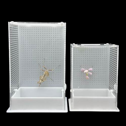 螳螂饲养盒磁吸开门造景活体昆虫树蛙爬虫鸣虫跳蛛宠物饲养箱箱网 - 图0